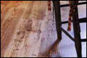 Hardwood strip flooring large